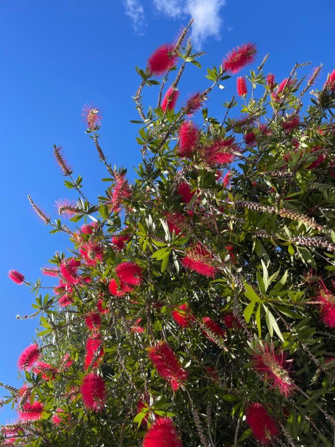 Sitio de Calahonda Jardines Apartment מראה חיצוני תמונה