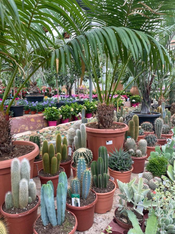 Sitio de Calahonda Jardines Apartment מראה חיצוני תמונה
